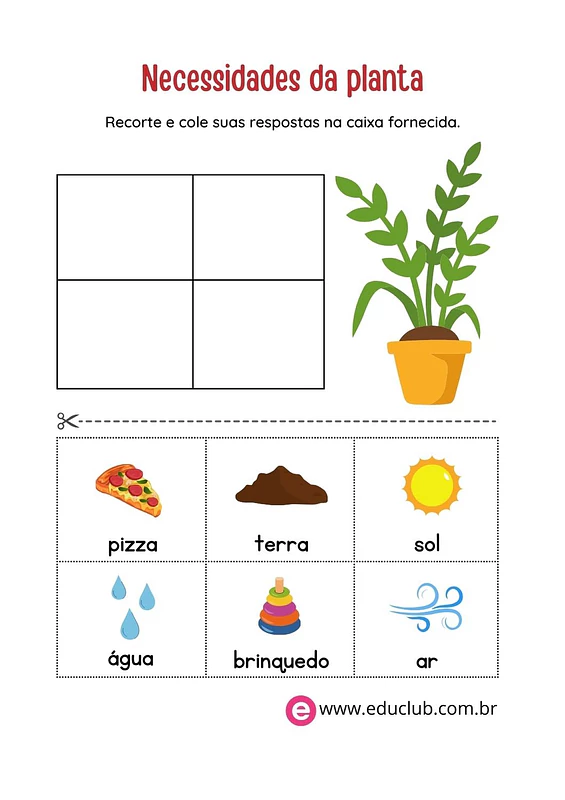 Atividade sobre as necessidades da planta para sobreviver | Educlub